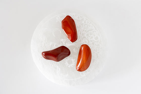 JASPE ROUGE