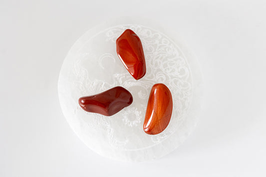 JASPE ROUGE