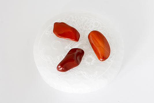 JASPE ROUGE