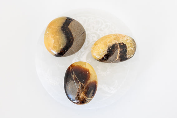 SEPTARIA